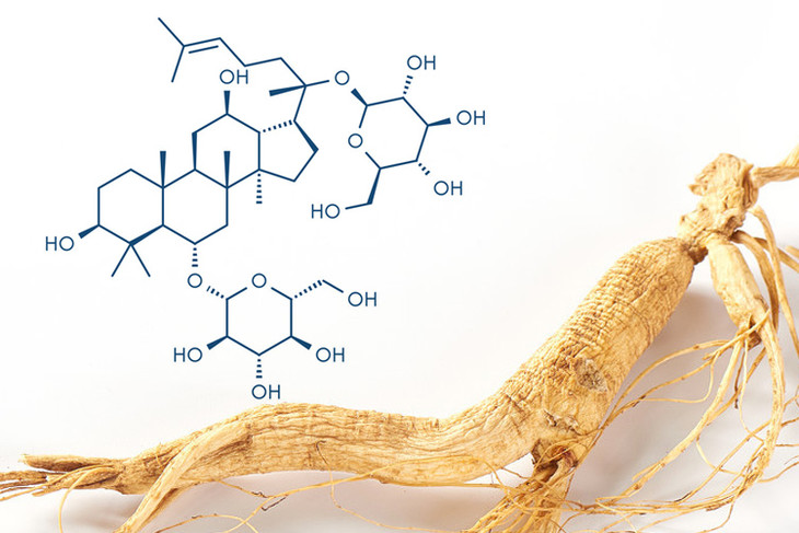 人參最新科研進展，探索傳統(tǒng)草藥的現(xiàn)代奧秘