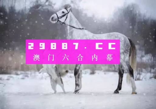 澳門今晚精準一碼｜實用技巧與詳細解析