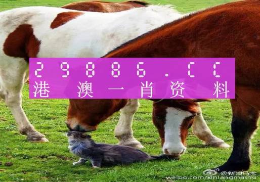 奧門(mén)一肖一碼100準(zhǔn)免費(fèi)姿料,實(shí)地分析解釋定義_進(jìn)階款81.207