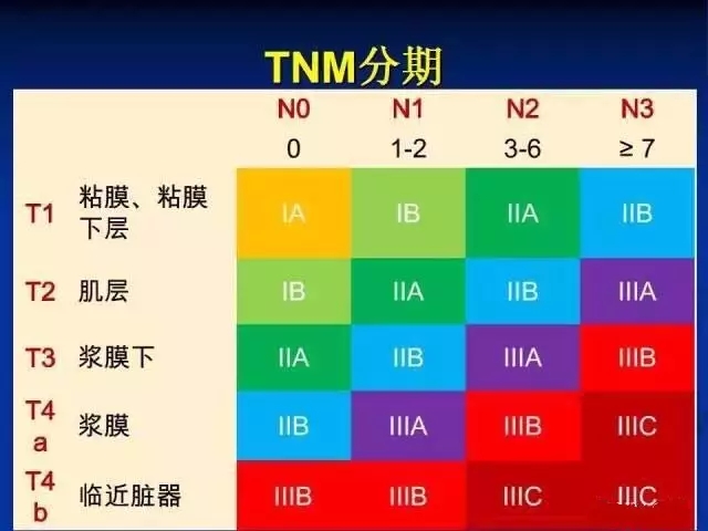 新澳門期期準(zhǔn)精準(zhǔn),功能性操作方案制定_基礎(chǔ)版2.229