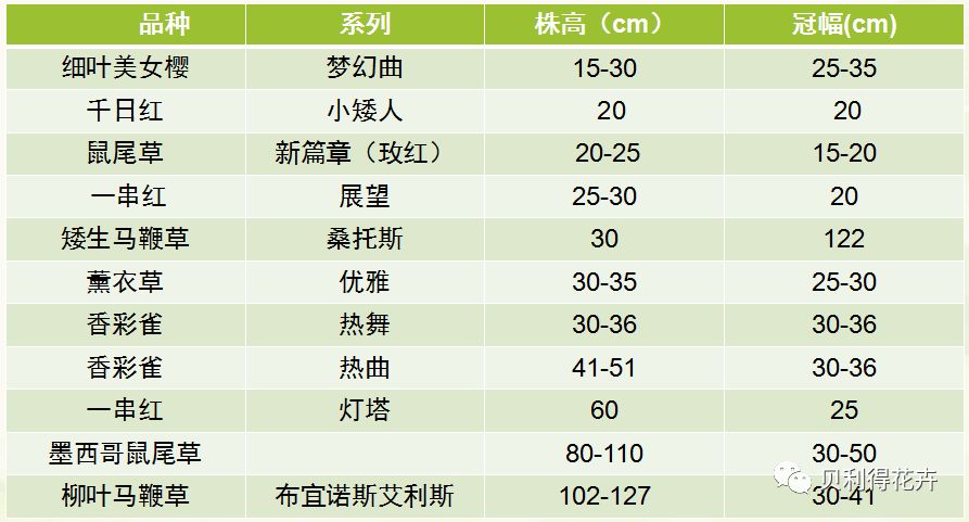 2024天天開彩免費資料,長期性計劃定義分析_挑戰(zhàn)款88.250