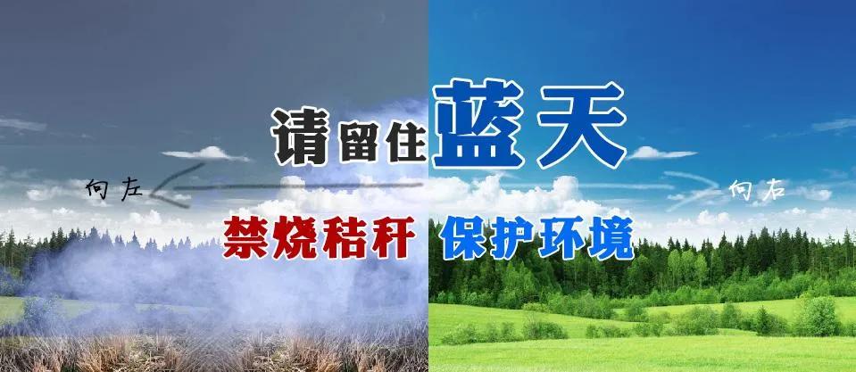 阜陽最新通告，城市發(fā)展與民生改善的新篇章開啟