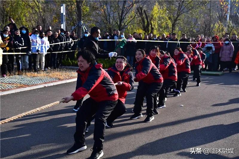 臨沭縣體育館最新項目，現(xiàn)代化體育新地標(biāo)打造啟動