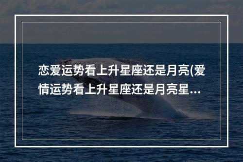 月愛最新梯度，探索未知，引領(lǐng)未來新紀元