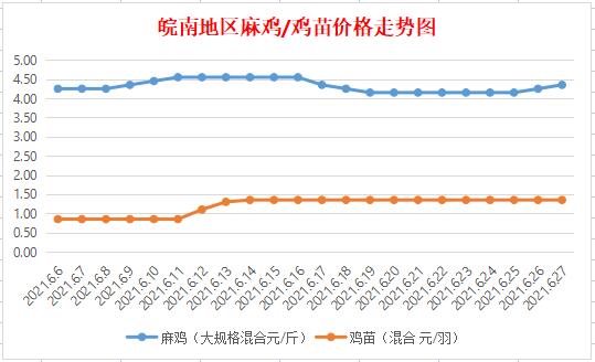 皖南麻雞最新行情及深度分析